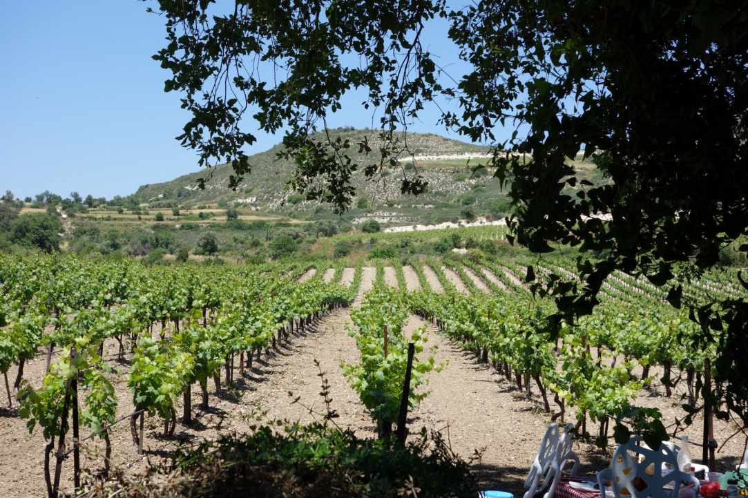 More than a Wine-Tour, a chance to be shown some of the stunning scenery of Cyprus