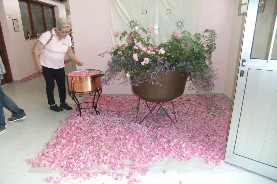 Rose Festival in Agros Village