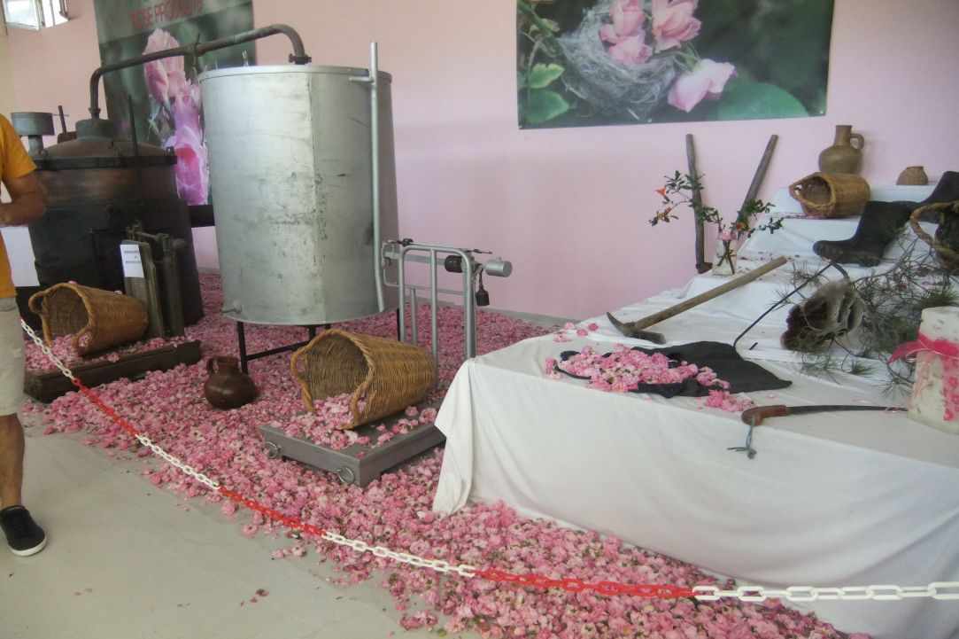 Rose Festival in Agros Village