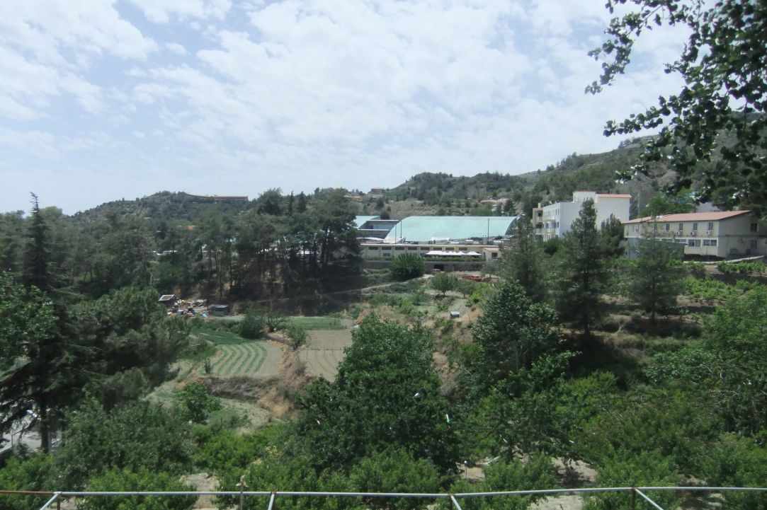 Rose Festival in Agros Village