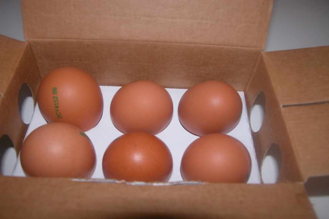 Pomilorotiania (Tomatoes with eggs)