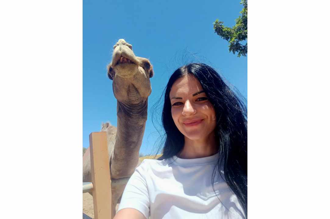 Traveling with Stephania: