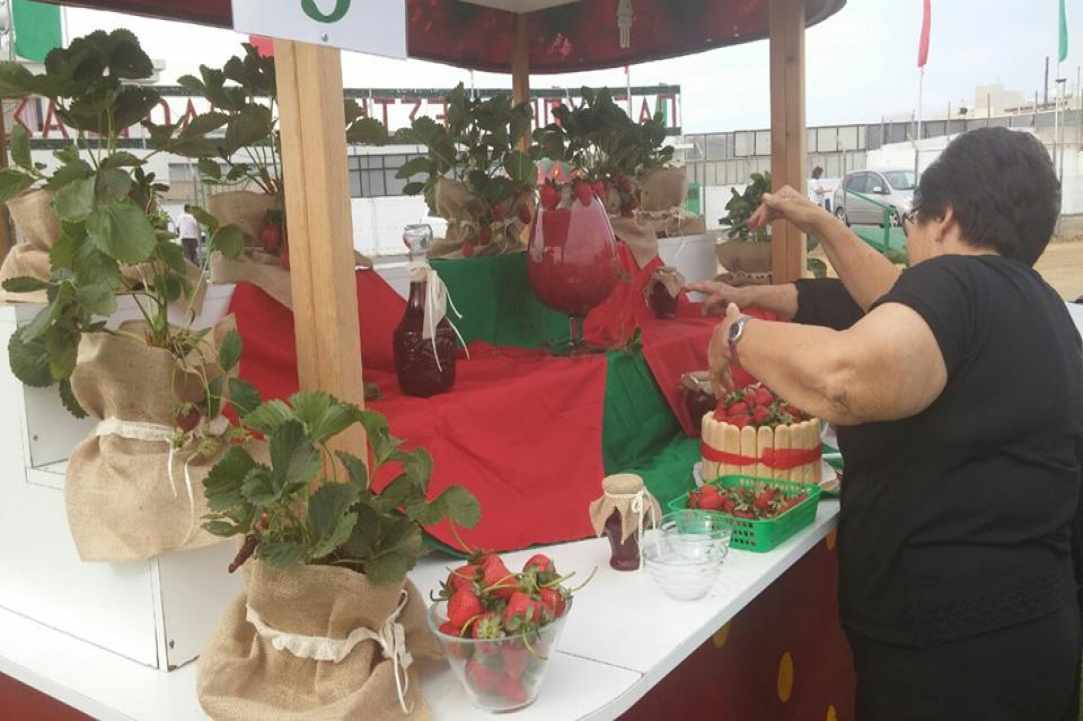 11ο Φεστιβάλ Φράουλας στη Δερύνεια!