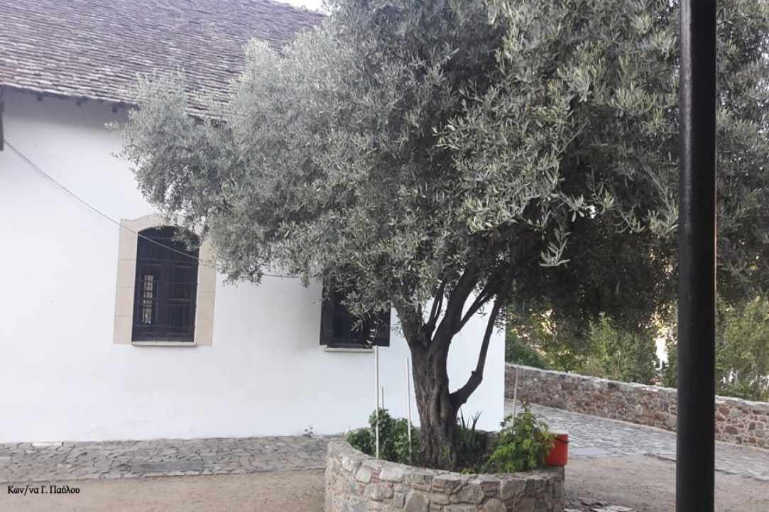 Εκκλησία Μεταμόρφωσεως του Σωτήρος στην Παλιά Κακοπετριά 