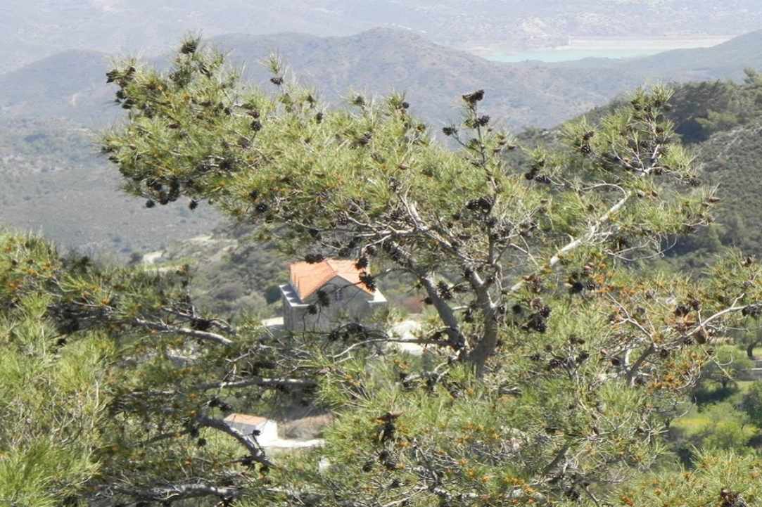 Το χωριό Σανίδα Λεμεσού 