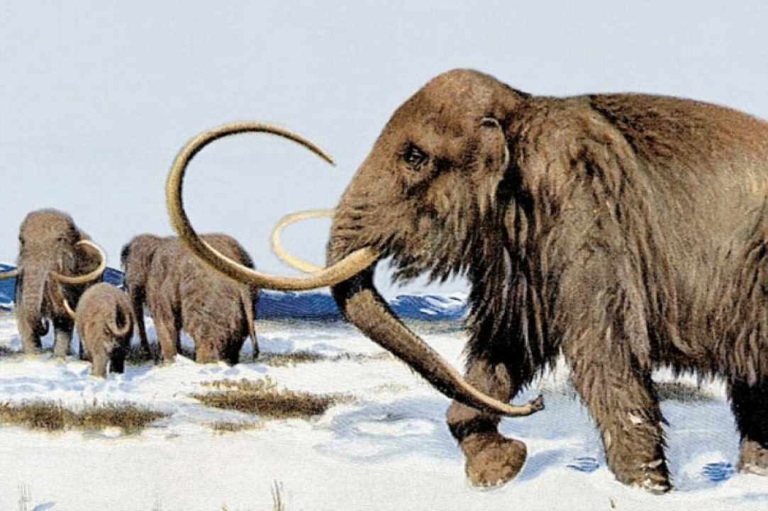 Έκθεση: Ανακάλυψε την Εποχή των Παγετώνων - «Explore the Ice Age»