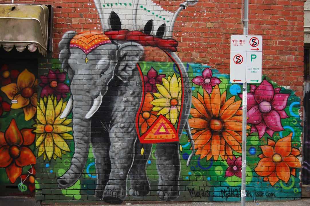 Graffiti Competition 
