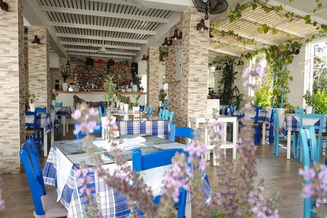 Interview with the owners of En-Yevo Tavernaki in Ayia Napa gallery image 1