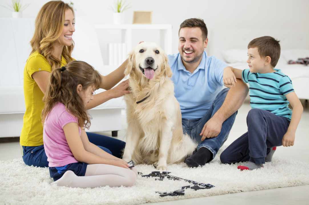 19+1 activities at home