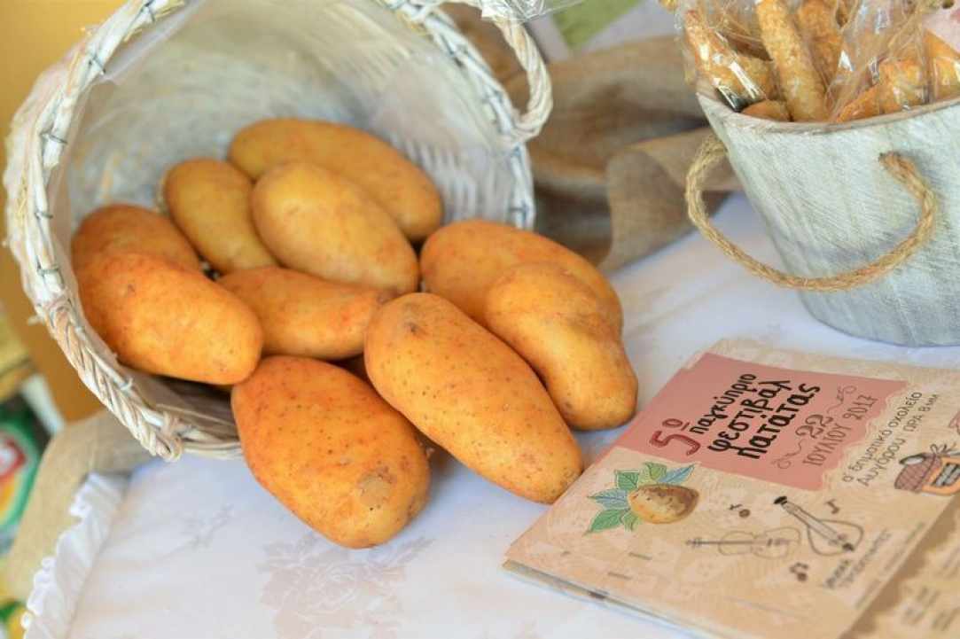 6th Pancyprian Potato Festival