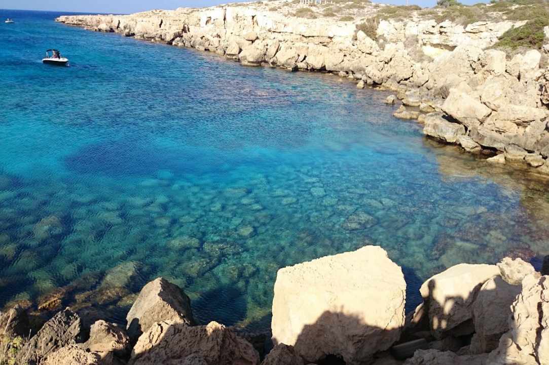 Η Παραλία του «Fig Tree» στον Πρωταρά