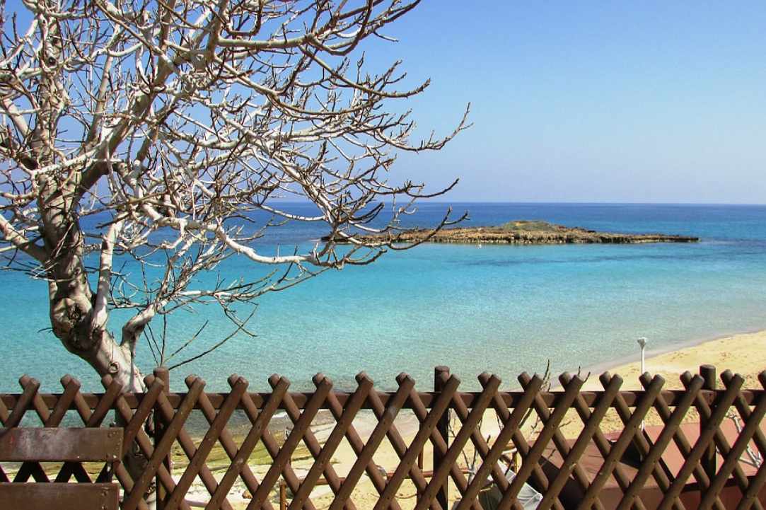 Η Παραλία του «Fig Tree» στον Πρωταρά