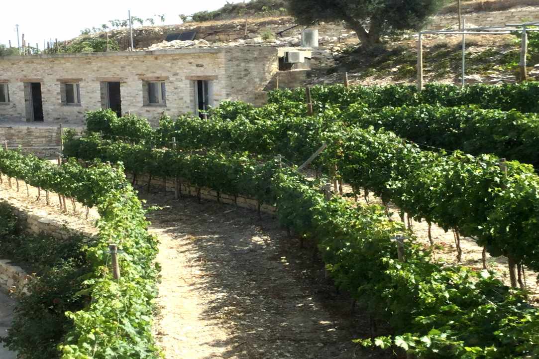 More than a Wine-Tour, a chance to be shown some of the stunning scenery of Cyprus