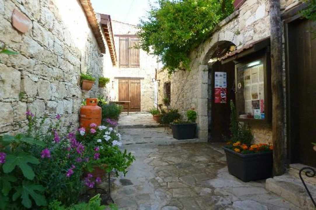  Who knows Cyprus better than the locals? 