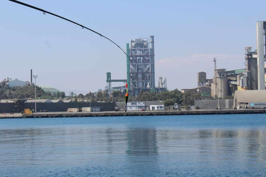 Simple fishing in Cyprus