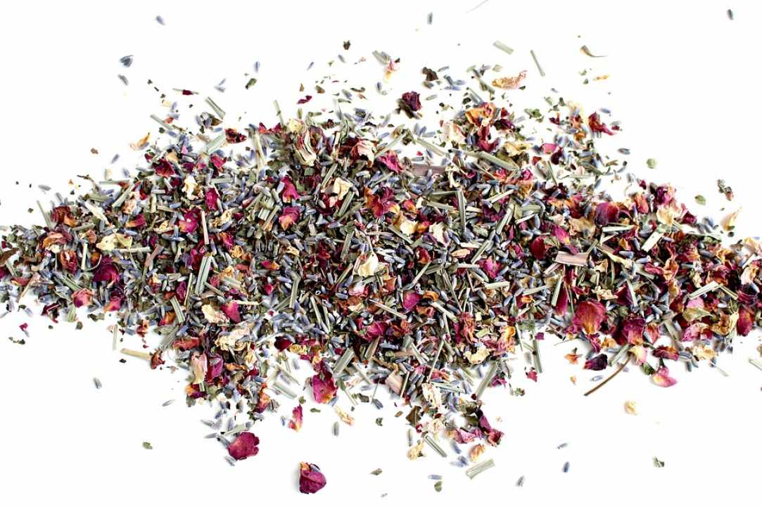 Herbs and Spices of Cyprus - more than 600 different types exist in Cyprus