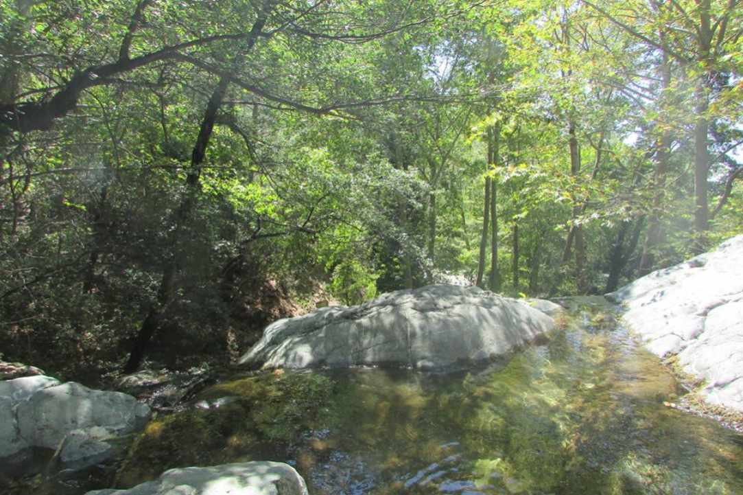 Το χωριό Φοινί Λεμεσού