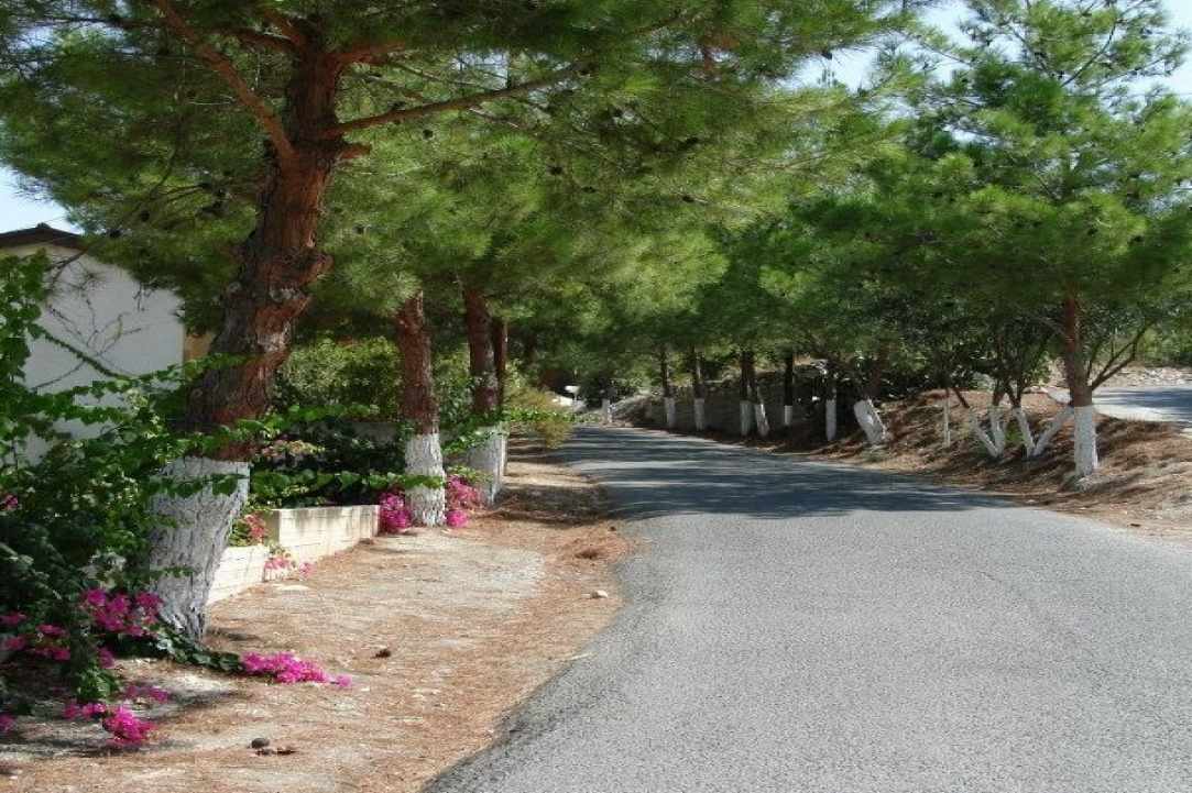 Το χωριό Φοινικάρια Λεμεσού
