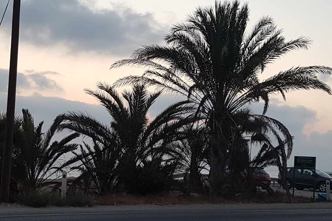 Potima Bay