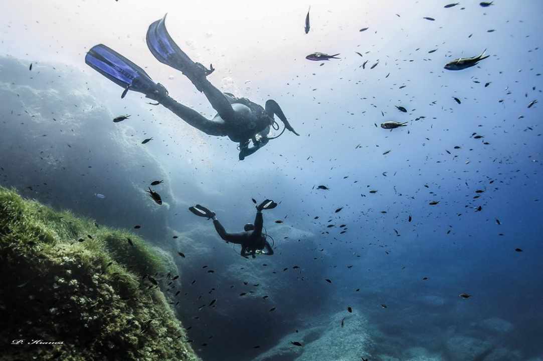 PADI Women's Dive Day 2017