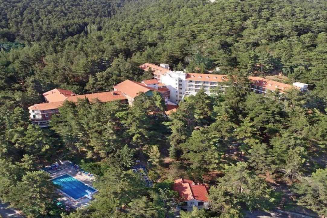Καταπληκτικές Εξορμήσεις και Πακέτα Διανυκτέρευσης στην Κύπρο