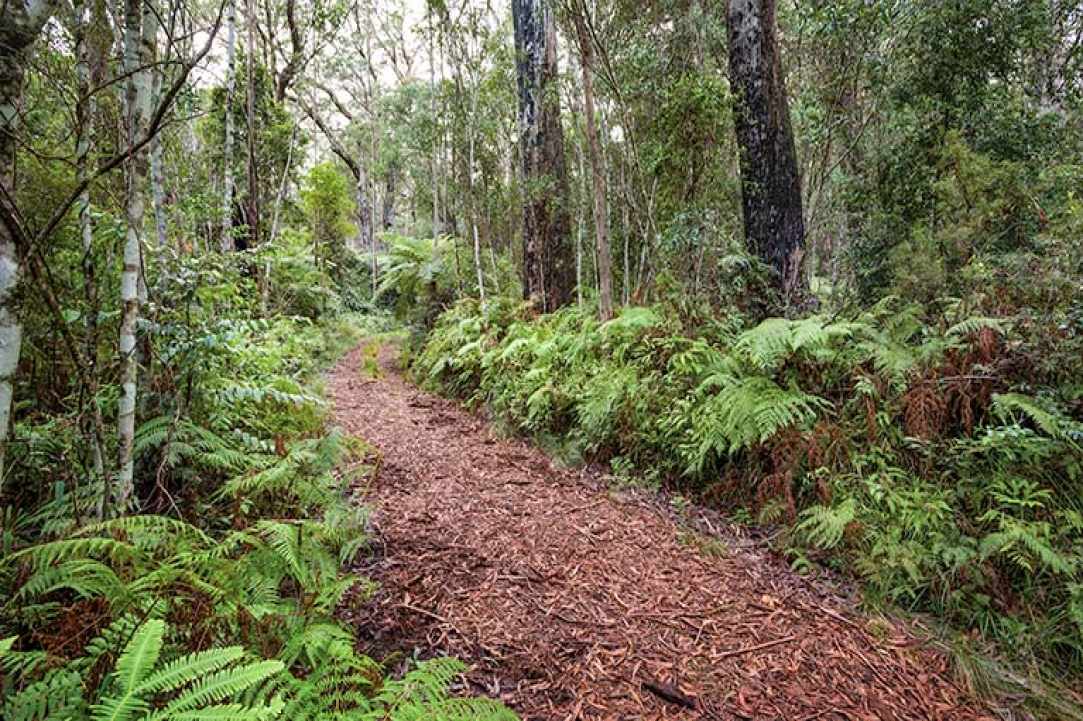  Walking Festival: 4th March - 13th May 2018