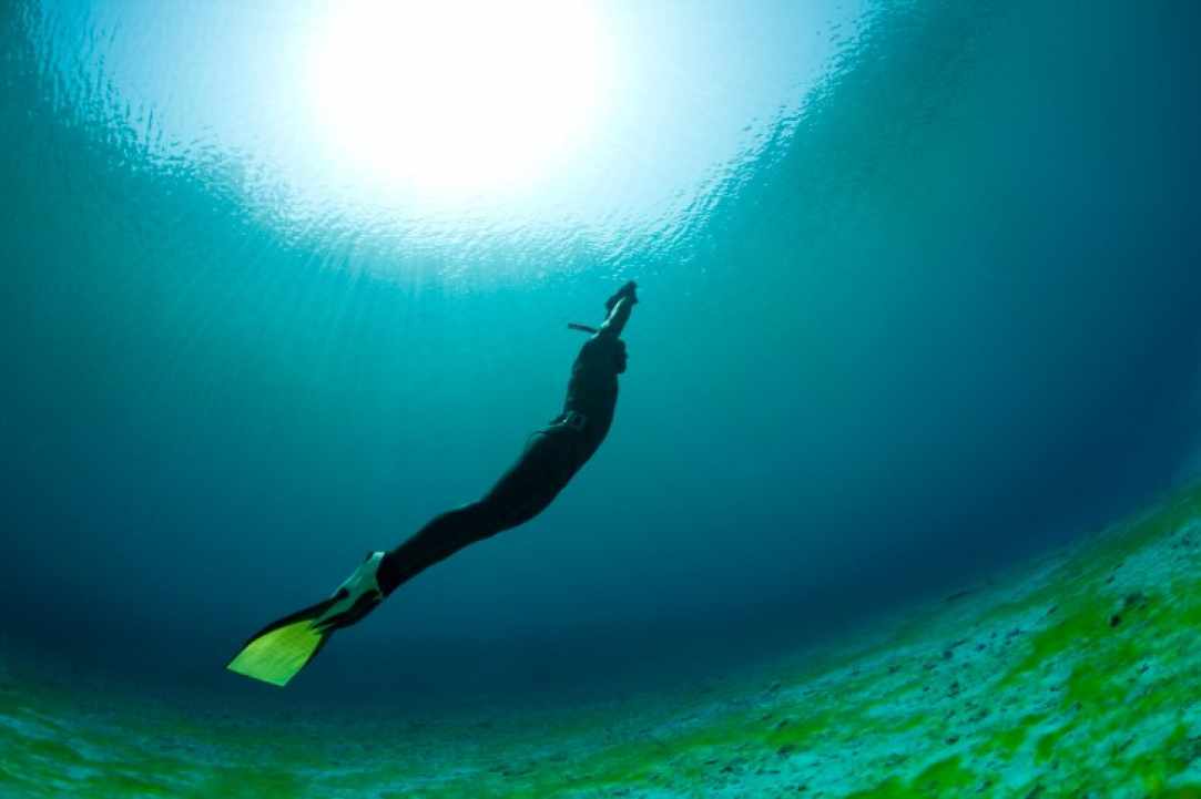 Ελεύθερη κατάδυση με πολλά μετάλλια… 