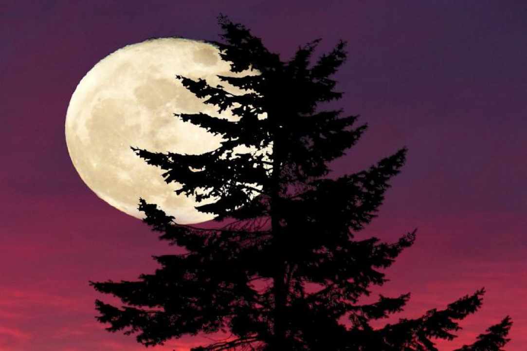 Αυγουστιάτικες νύχτες πανσέληνου