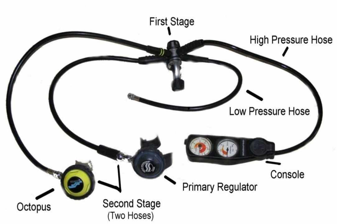 The Equipment Of The Scuba Diver