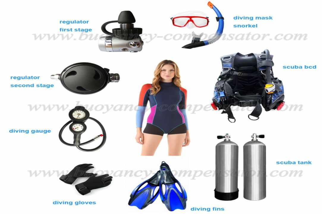 The Equipment Of The Scuba Diver