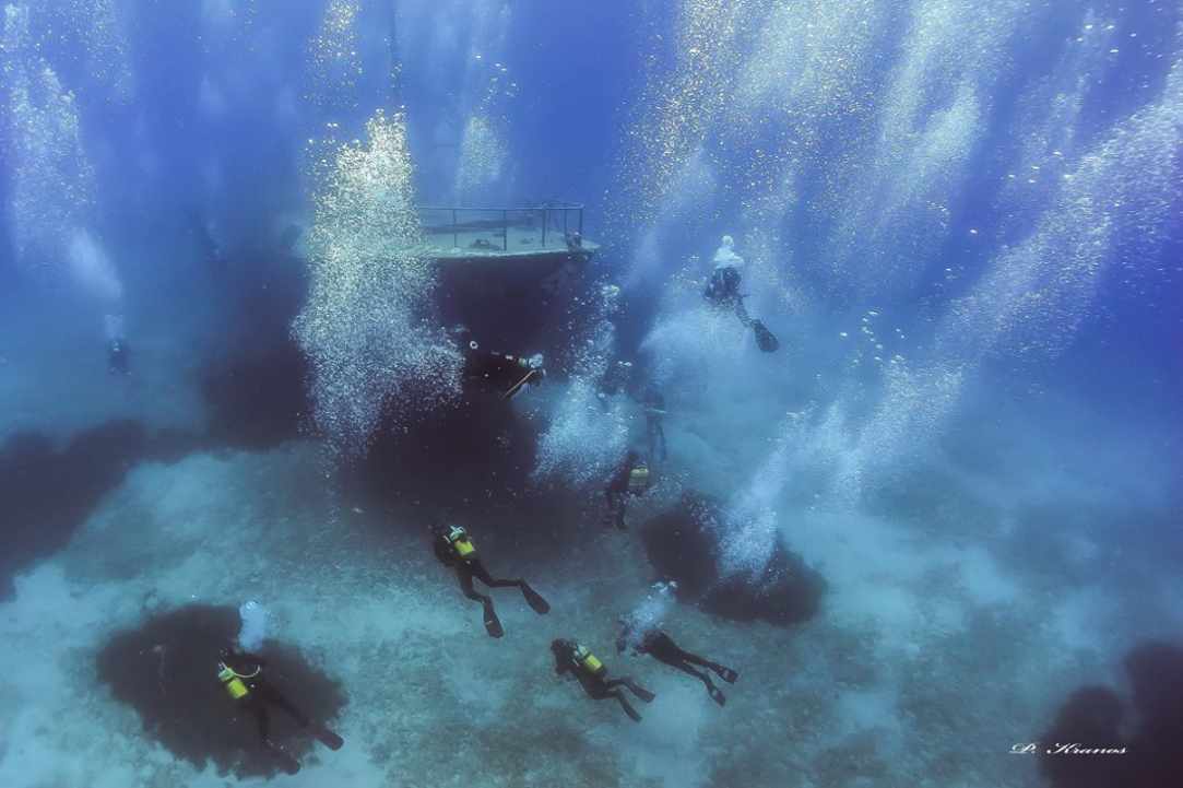 Marine Protected Areas with artificial reef
