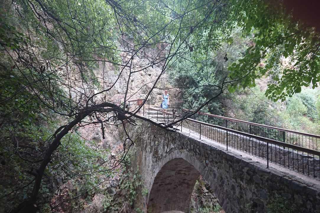 Το δάσος είναι ζωή… gallery image 2