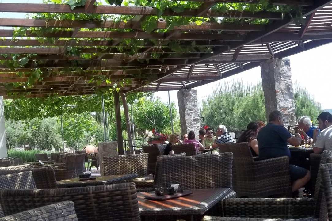 Καινούργιος Χρόνος... στον Αγρό με το ElanaPame