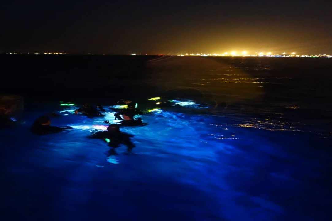 Night Dive