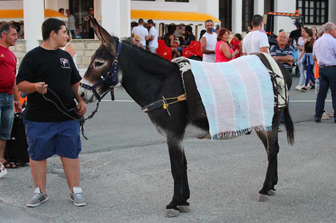Annual shepherd's fair