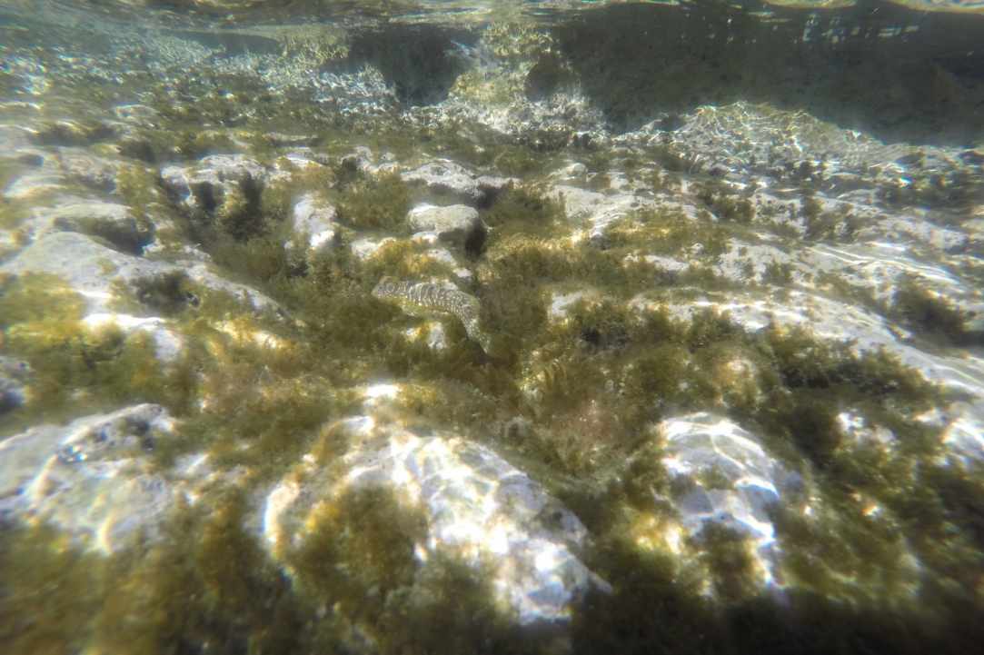 Our Top 10 Cyprus Beaches and Diving locations