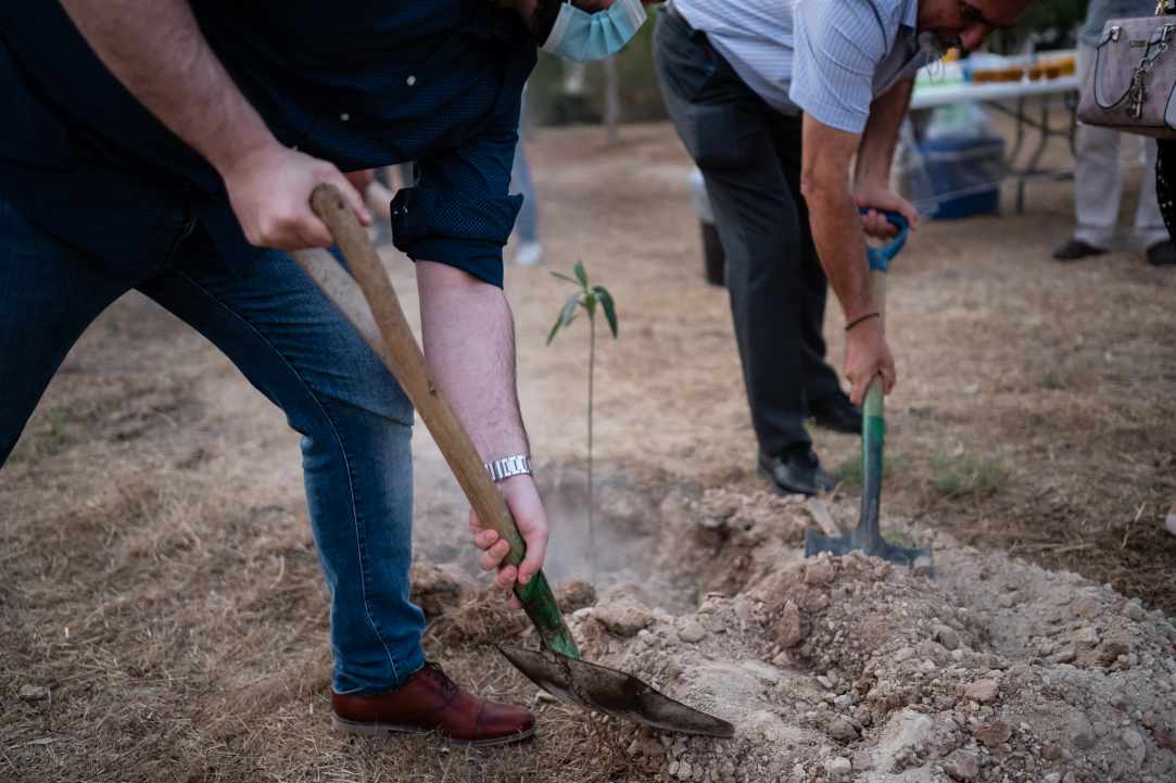The creation of the first sustainable park in Cyprus is a fact