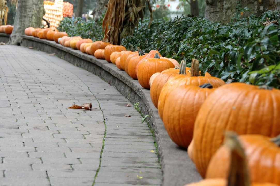 The custom of Halloween