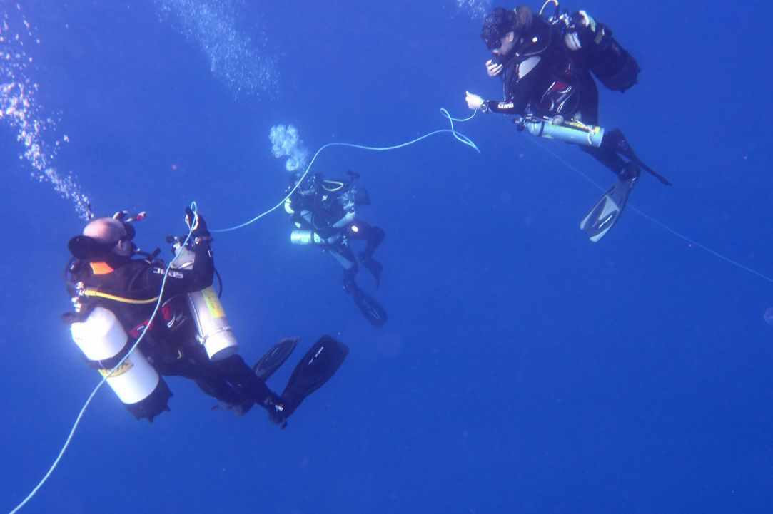 Fun Dive