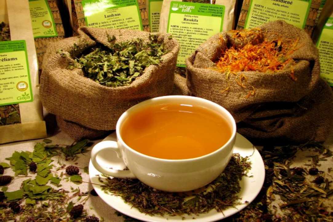 Herbs and Spices of Cyprus - more than 600 different types exist in Cyprus