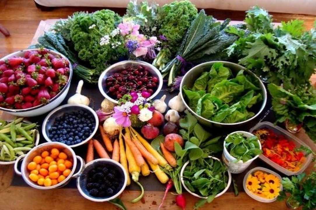 Herbs and Spices of Cyprus - more than 600 different types exist in Cyprus
