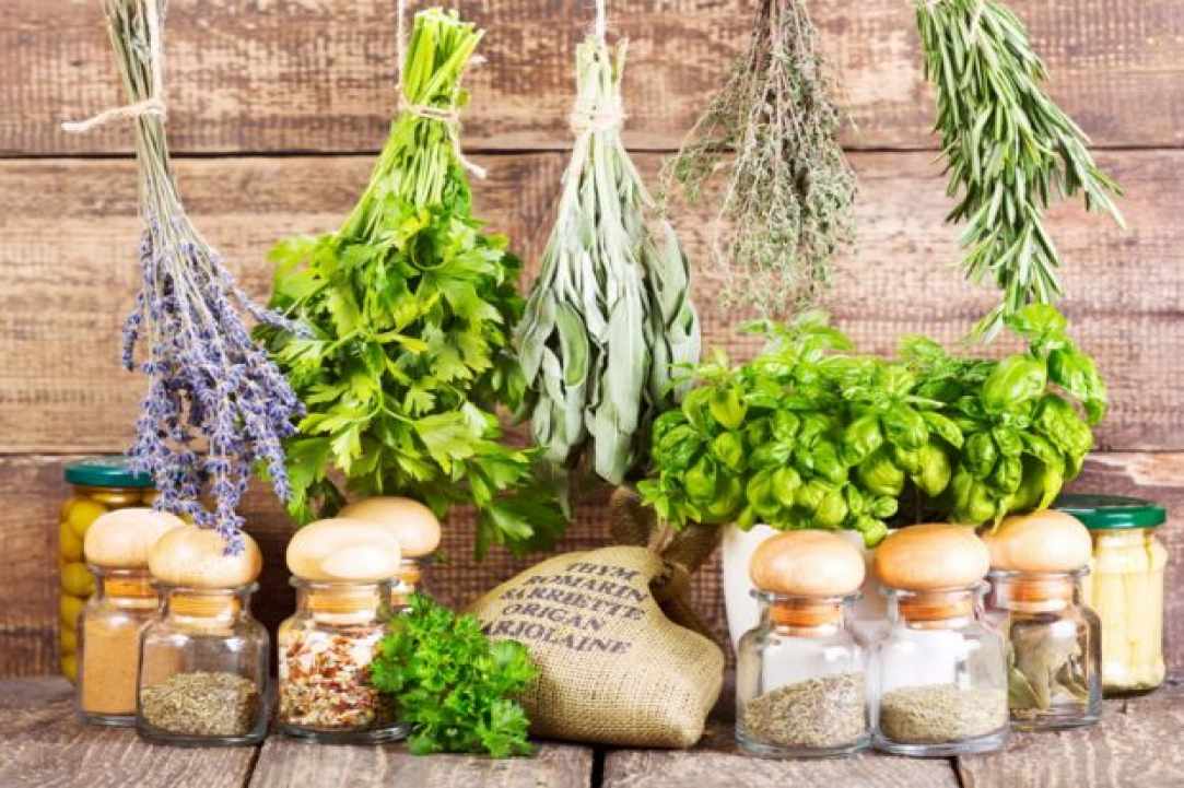 Herbs and Spices of Cyprus - more than 600 different types exist in Cyprus gallery image 3