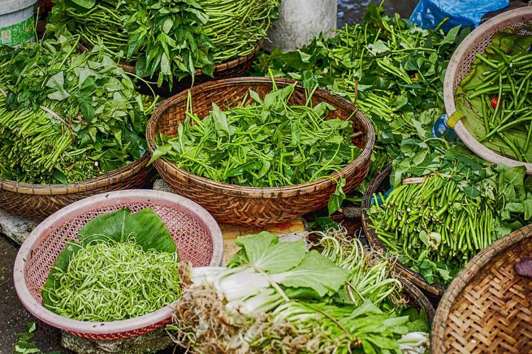Herbs and Spices of Cyprus - more than 600 different types exist in Cyprus