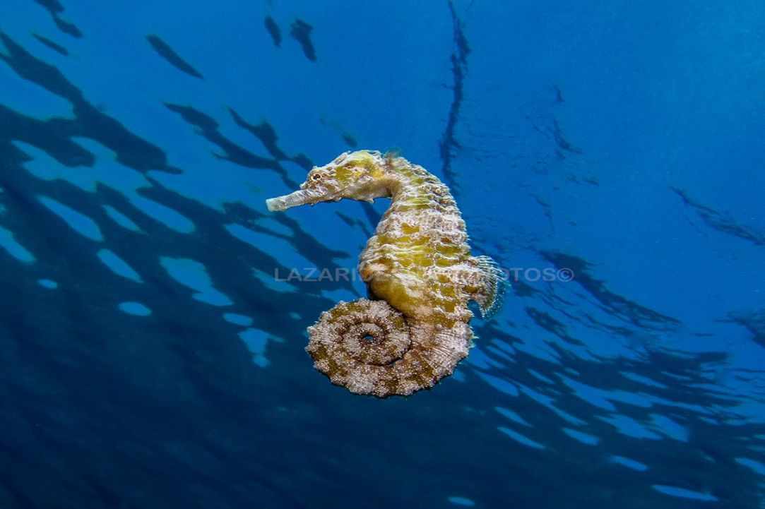 November dive in Cyprus