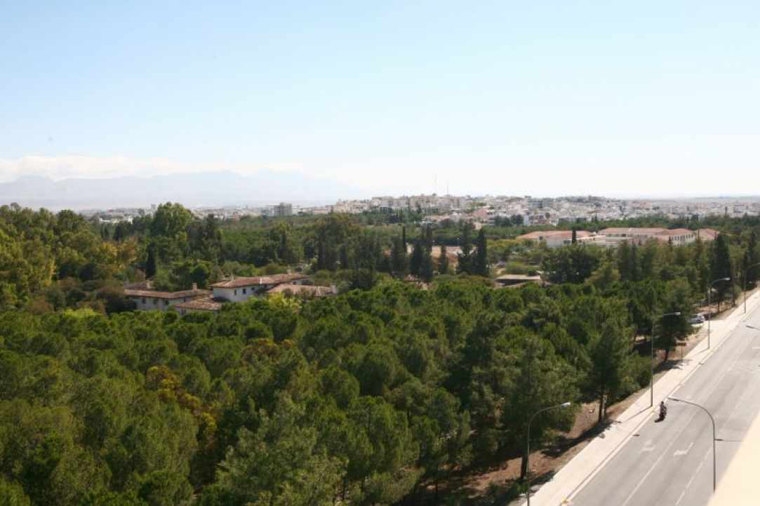 Αγλαντζιά