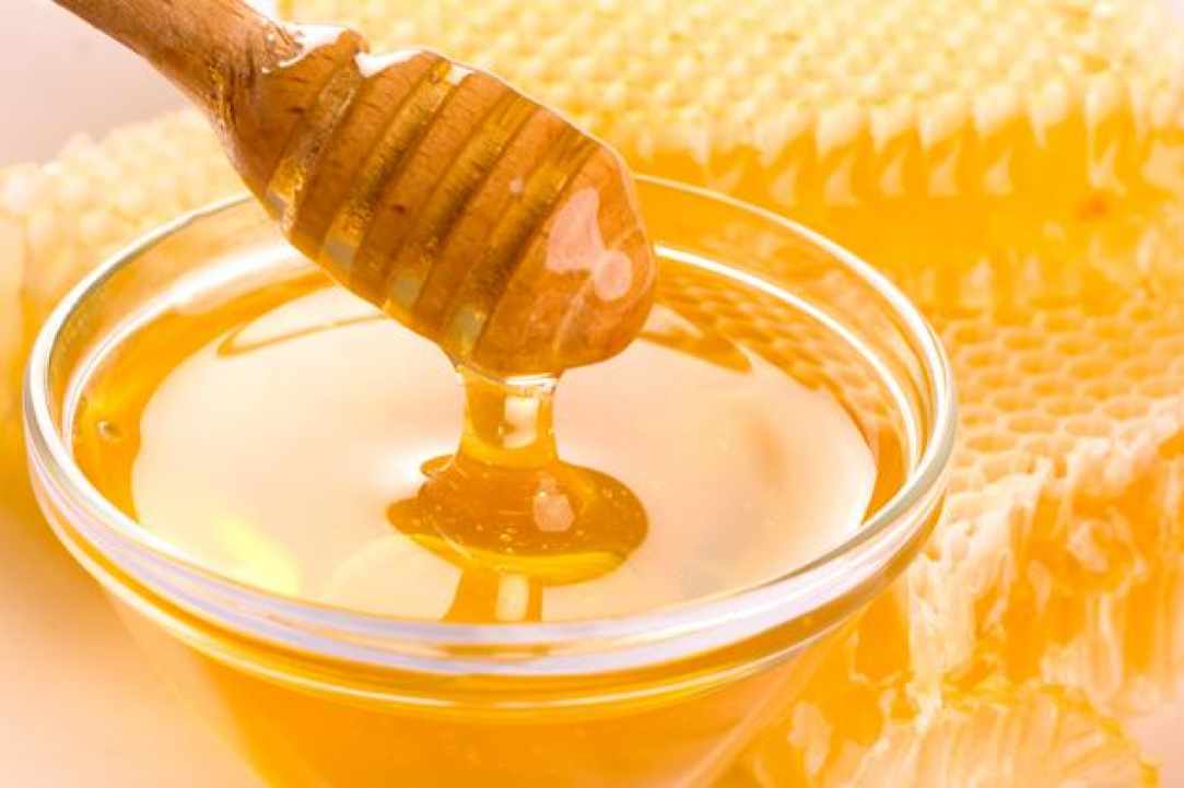 1st Pancyprian Honey & Beekeeping Festival gallery image 4