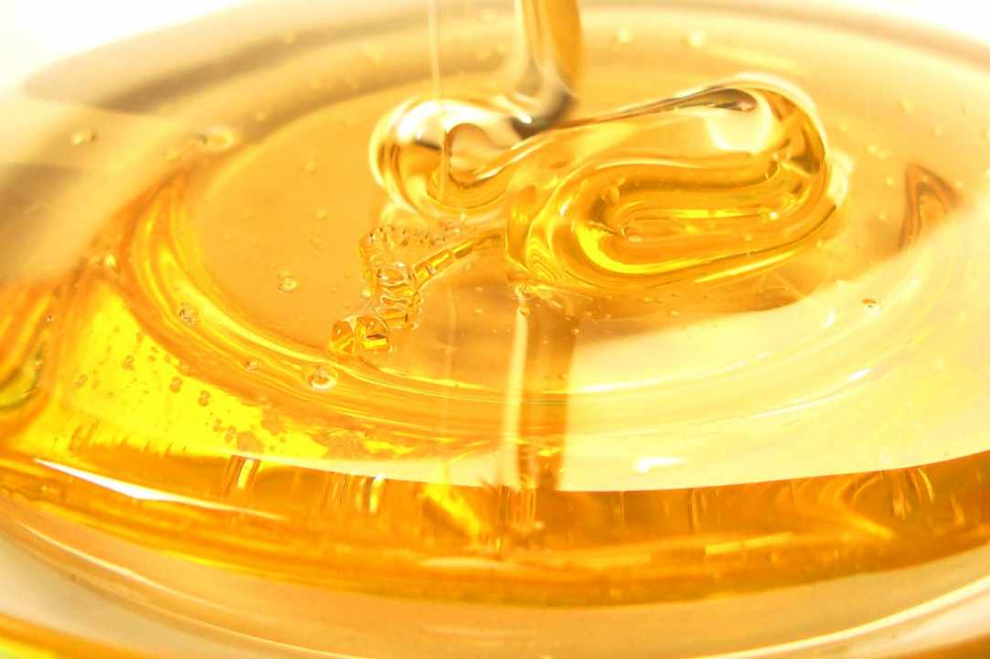 1st Pancyprian Honey & Beekeeping Festival gallery image 1