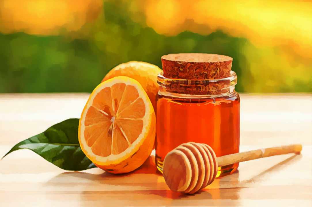 1st Pancyprian Honey & Beekeeping Festival gallery image 3