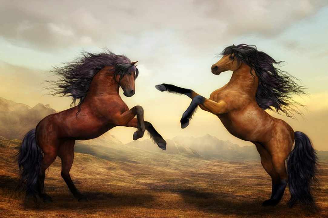 Η Γέννηση της Κύπρου