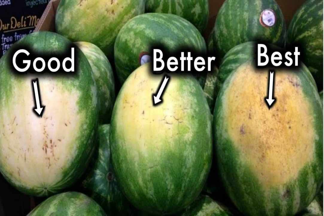 Watermelon – our favorite summer fruit